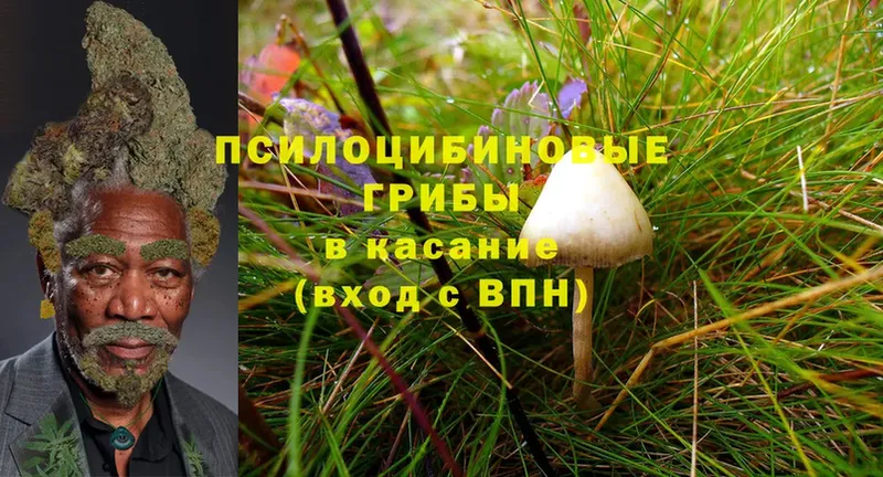 Галлюциногенные грибы Magic Shrooms  Муравленко 